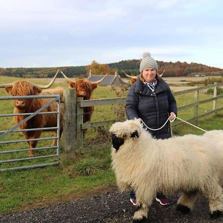 Glampods Glamping Pod - Meet Highland Cows And Sheep Elgin Villa Eksteriør billede