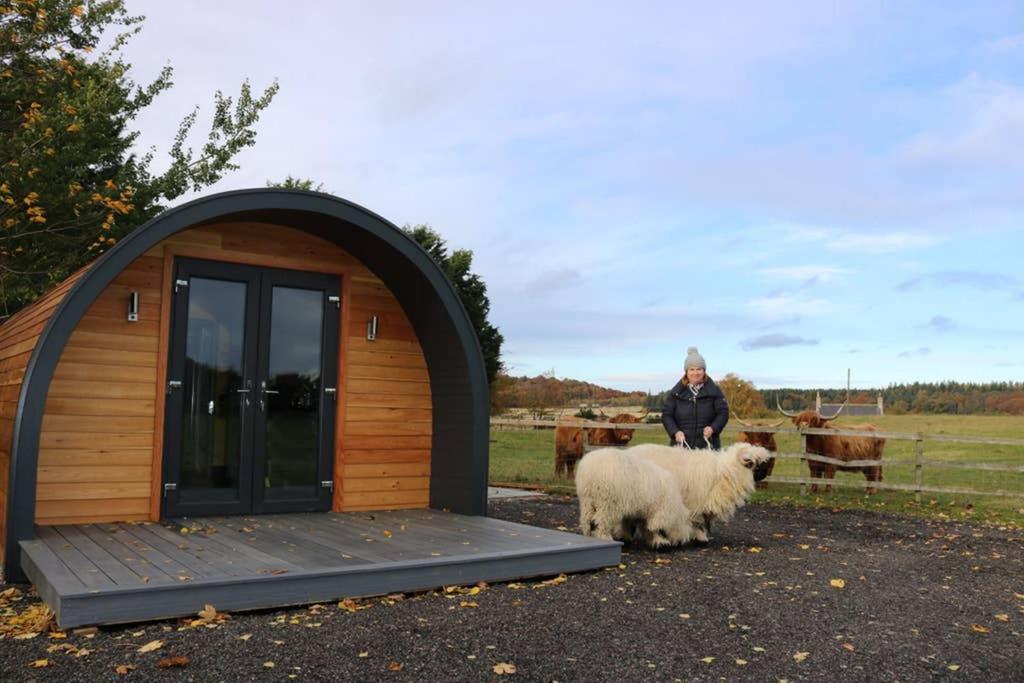 Glampods Glamping Pod - Meet Highland Cows And Sheep Elgin Villa Eksteriør billede