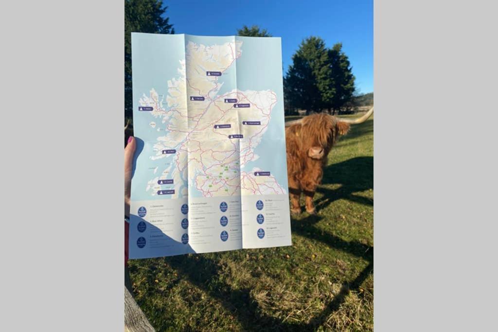Glampods Glamping Pod - Meet Highland Cows And Sheep Elgin Villa Eksteriør billede