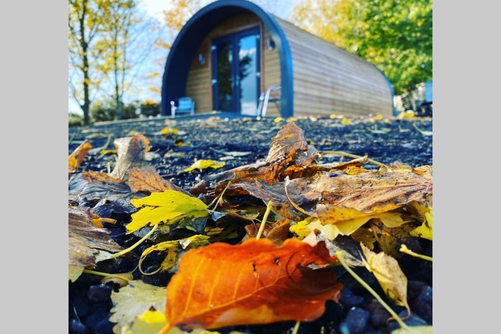 Glampods Glamping Pod - Meet Highland Cows And Sheep Elgin Villa Eksteriør billede